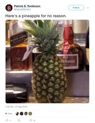 P Pineapple Sad.jpg